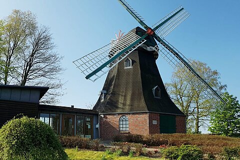 Windmühle Dibbersen
