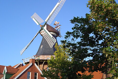 Ditzumer Windmühle © Jan-Peter Donker Ditzumer Windmühle